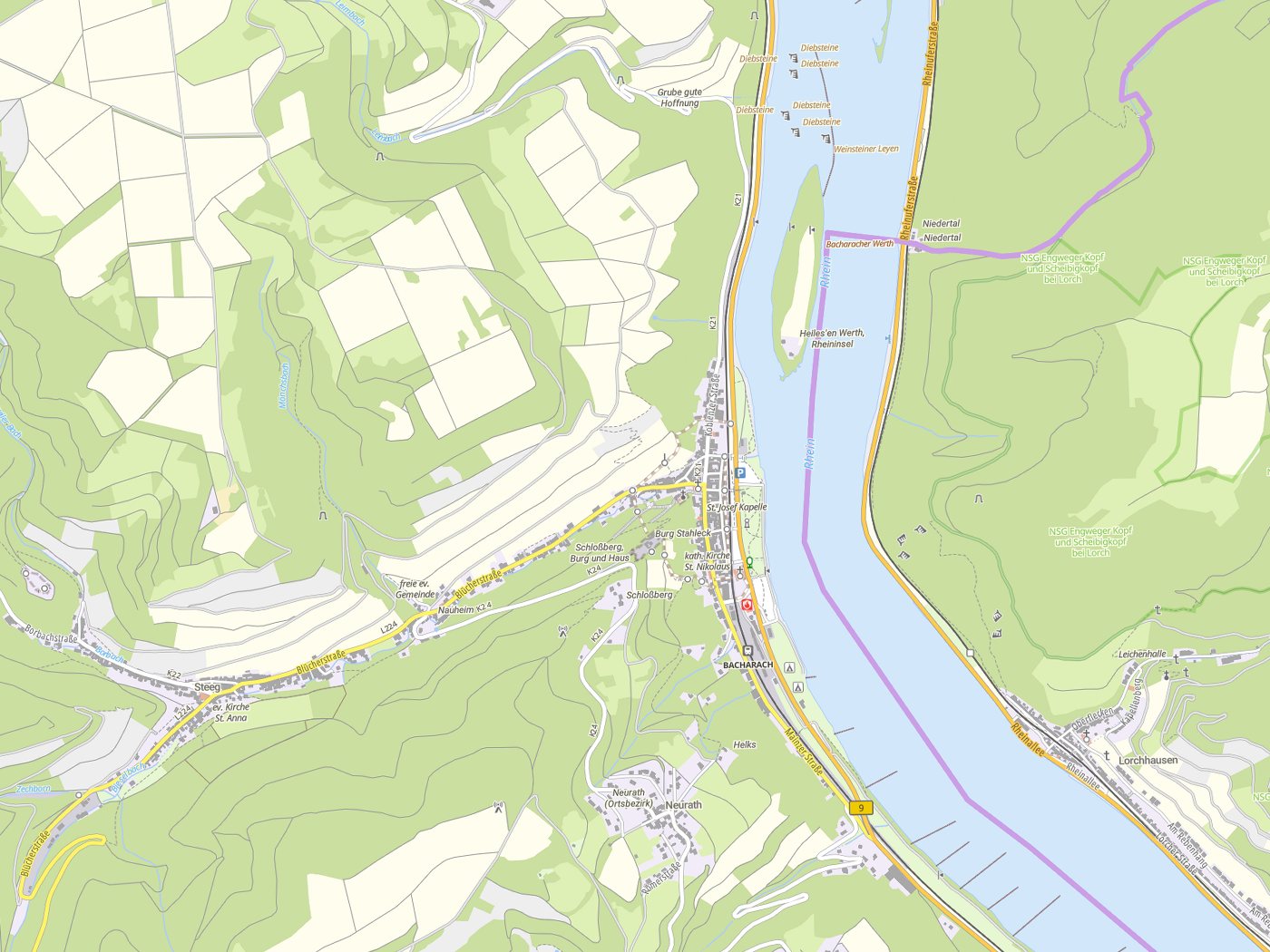 Kartenausschnitt Bacharach mit Gewässern