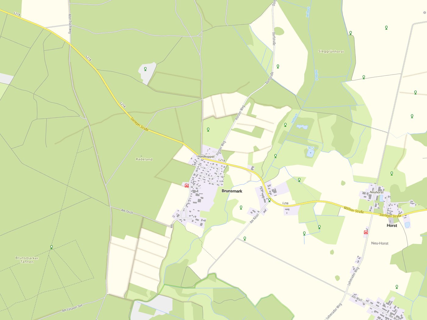 Kartenausschnitt Brunsmark mit Gewässern