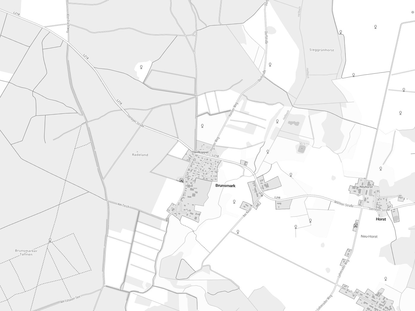 Kartenausschnitt Brunsmark mit Gewässern