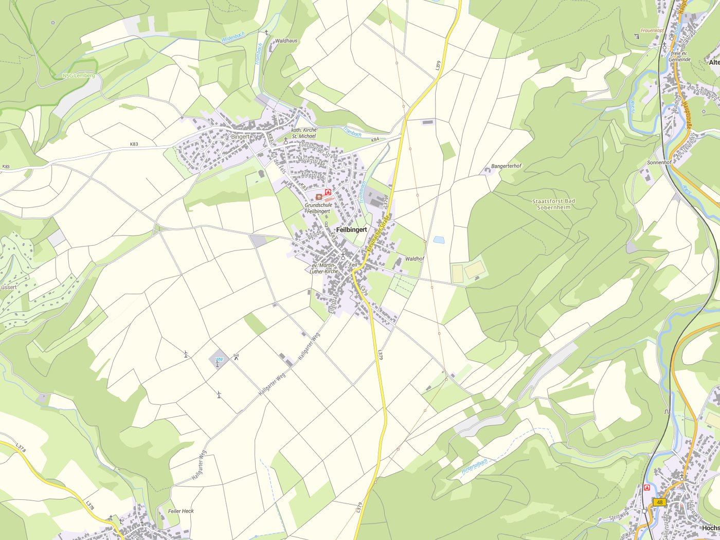 Kartenausschnitt Feilbingert mit Gewässern