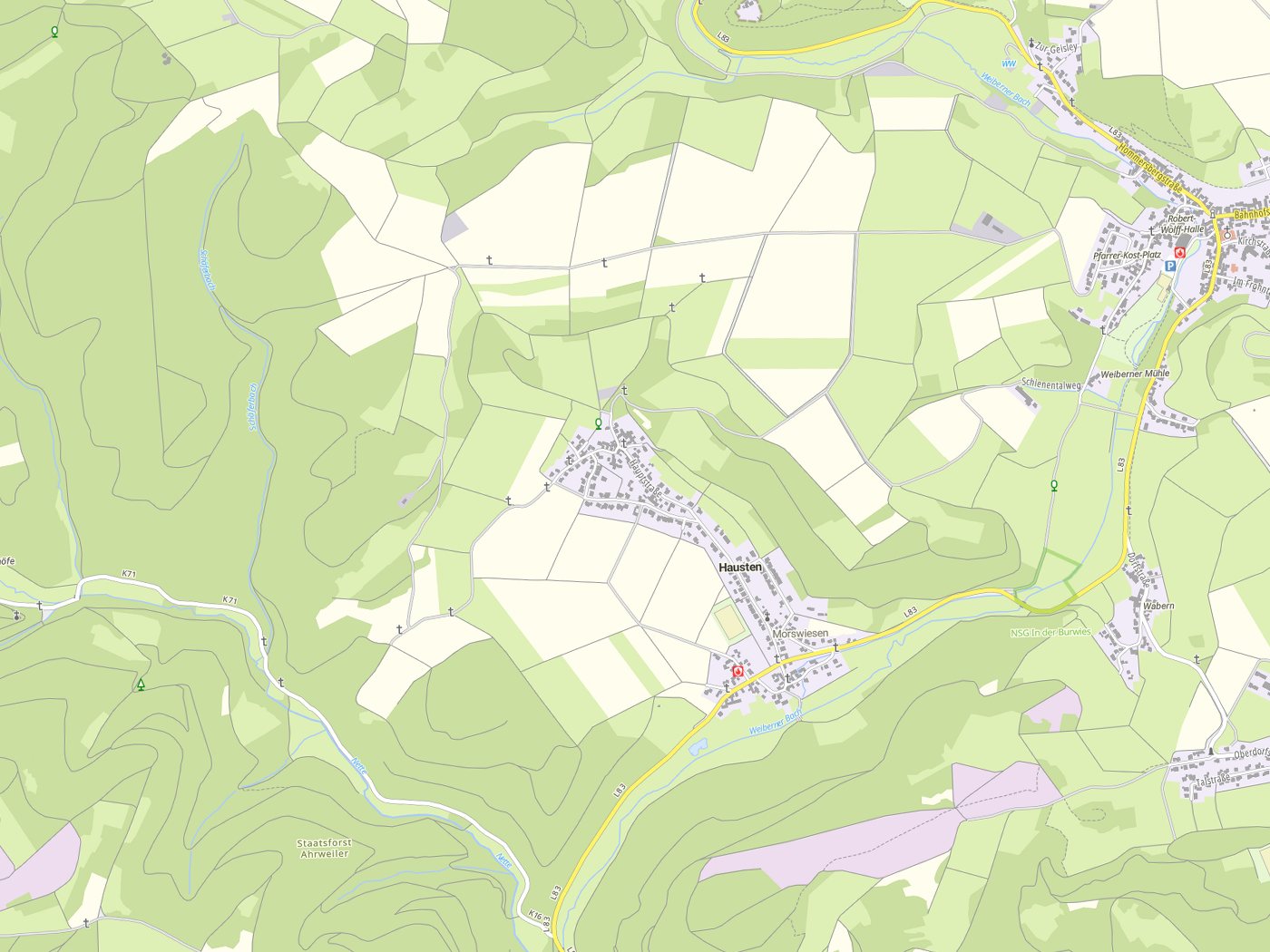 Kartenausschnitt Hausten mit Gewässern