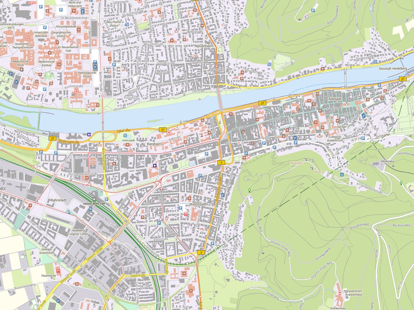 Kartenausschnitt Heidelberg mit Gewässern