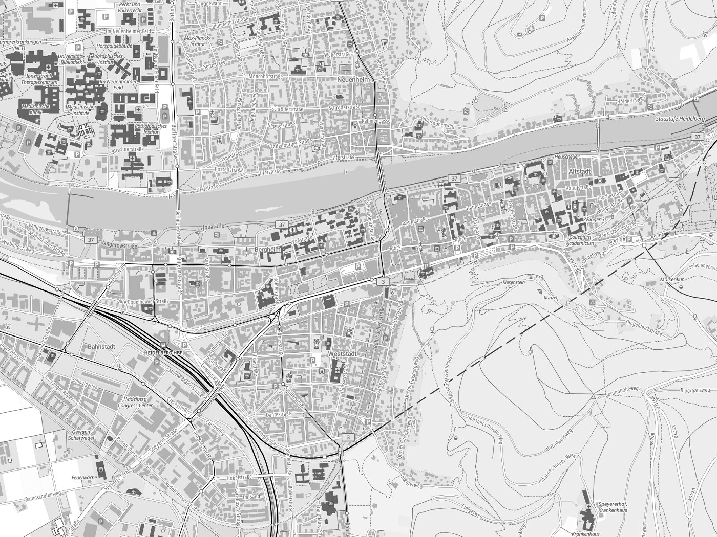 Kartenausschnitt Heidelberg mit Gewässern