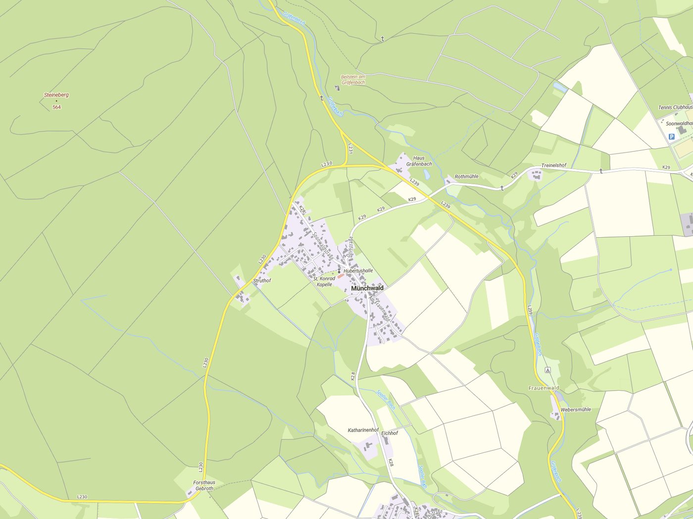 Kartenausschnitt Münchwald mit Gewässern