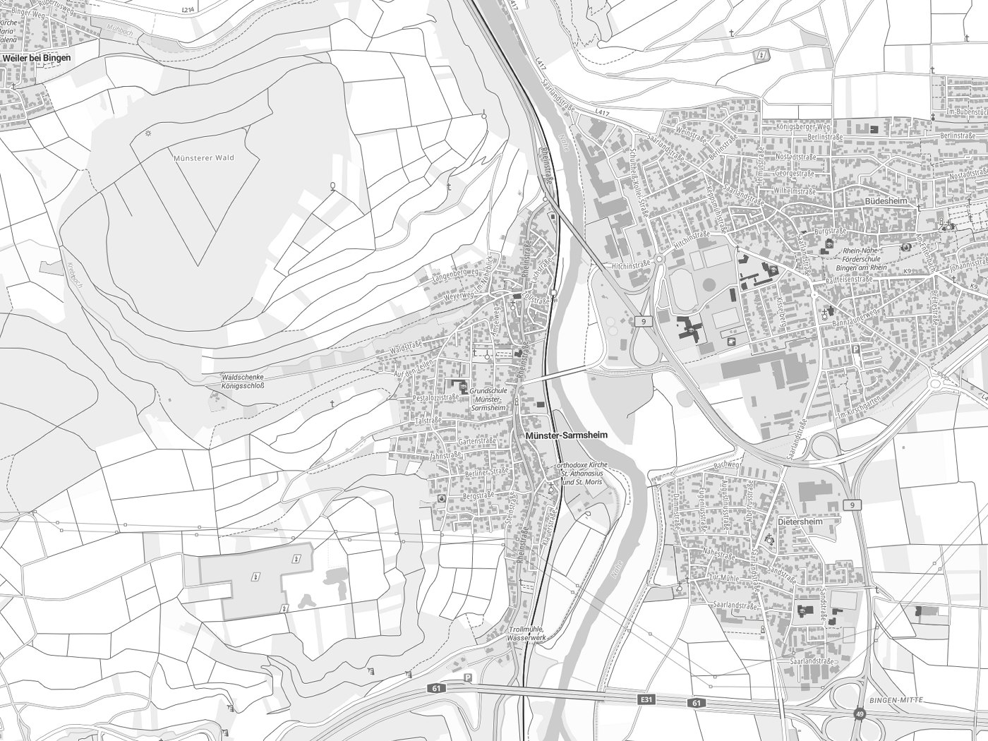 Kartenausschnitt Münster-Sarmsheim mit Gewässern