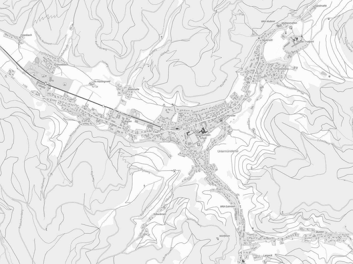 Kartenausschnitt Münstertal/Schwarzwald mit Gewässern