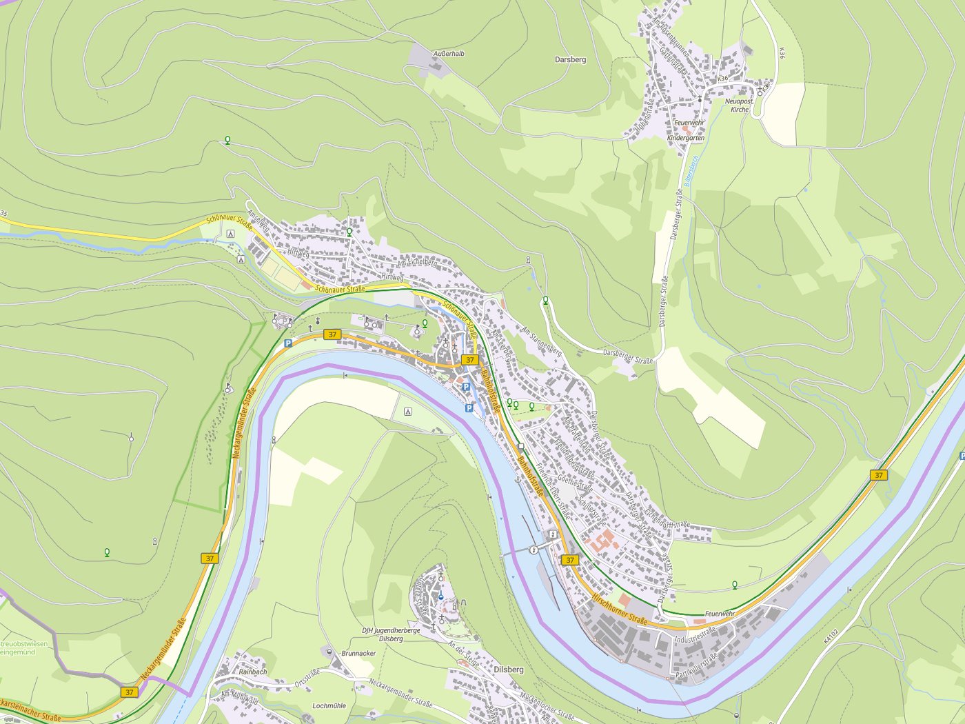 Kartenausschnitt Neckarsteinach mit Gewässern