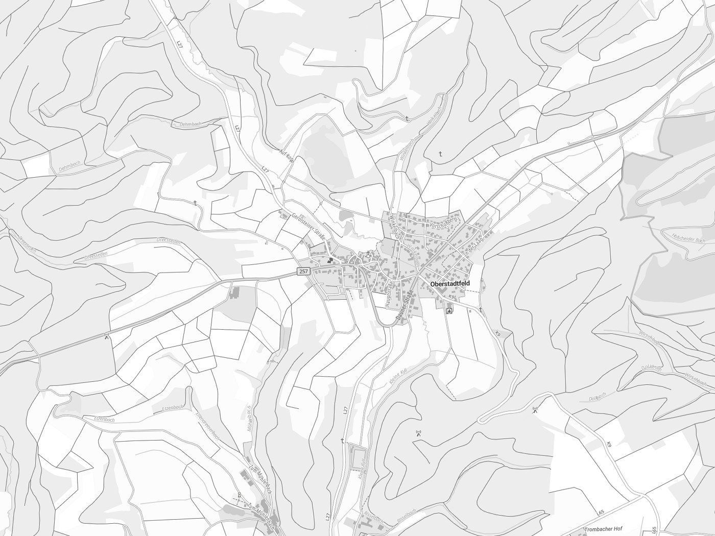 Kartenausschnitt Oberstadtfeld mit Gewässern