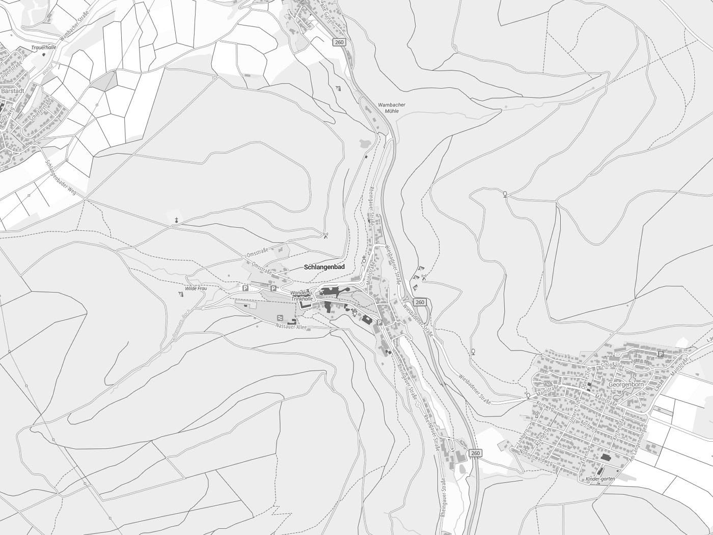 Kartenausschnitt Schlangenbad mit Gewässern