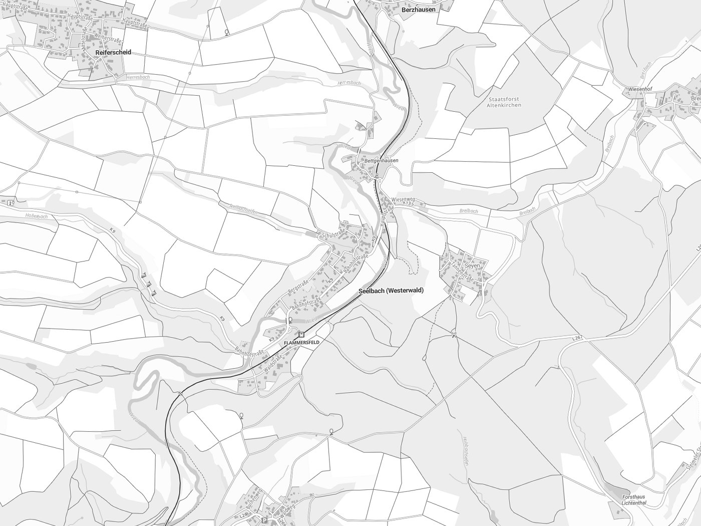 Kartenausschnitt Seelbach (Westerwald) mit Gewässern