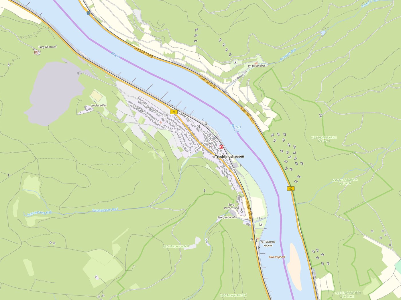 Kartenausschnitt Trechtingshausen mit Gewässern