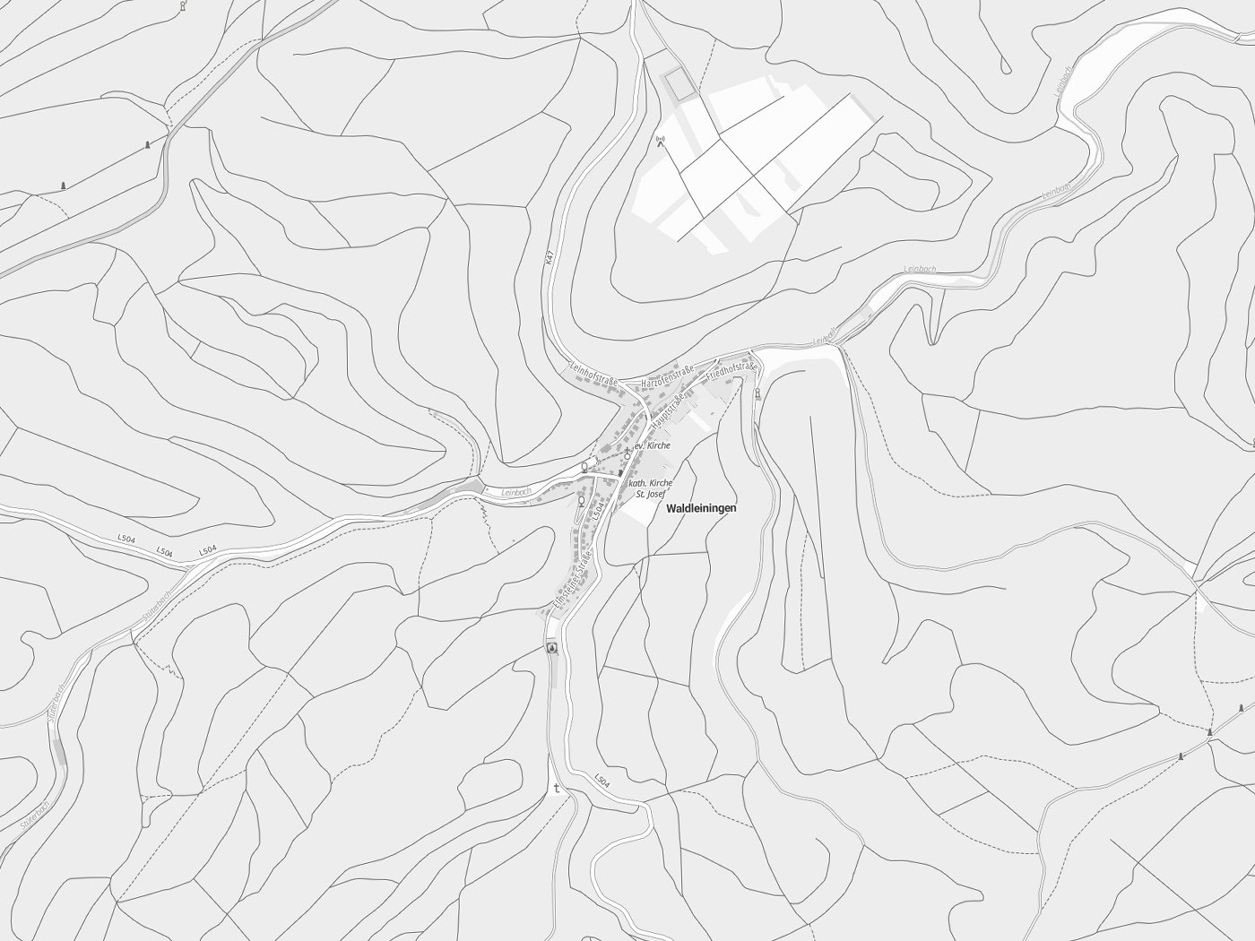 Kartenausschnitt Waldleiningen mit Gewässern