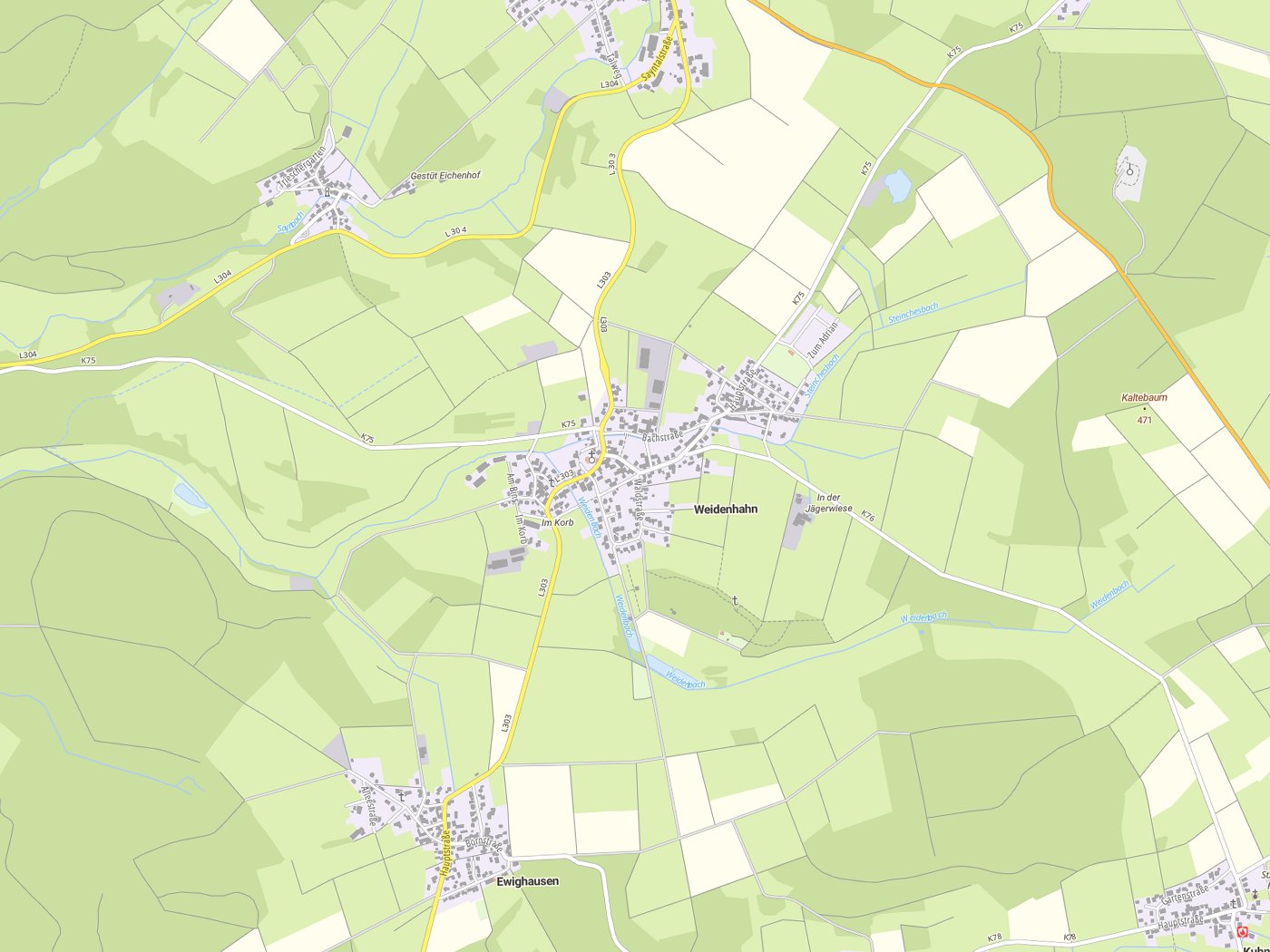 Kartenausschnitt Weidenhahn mit Gewässern