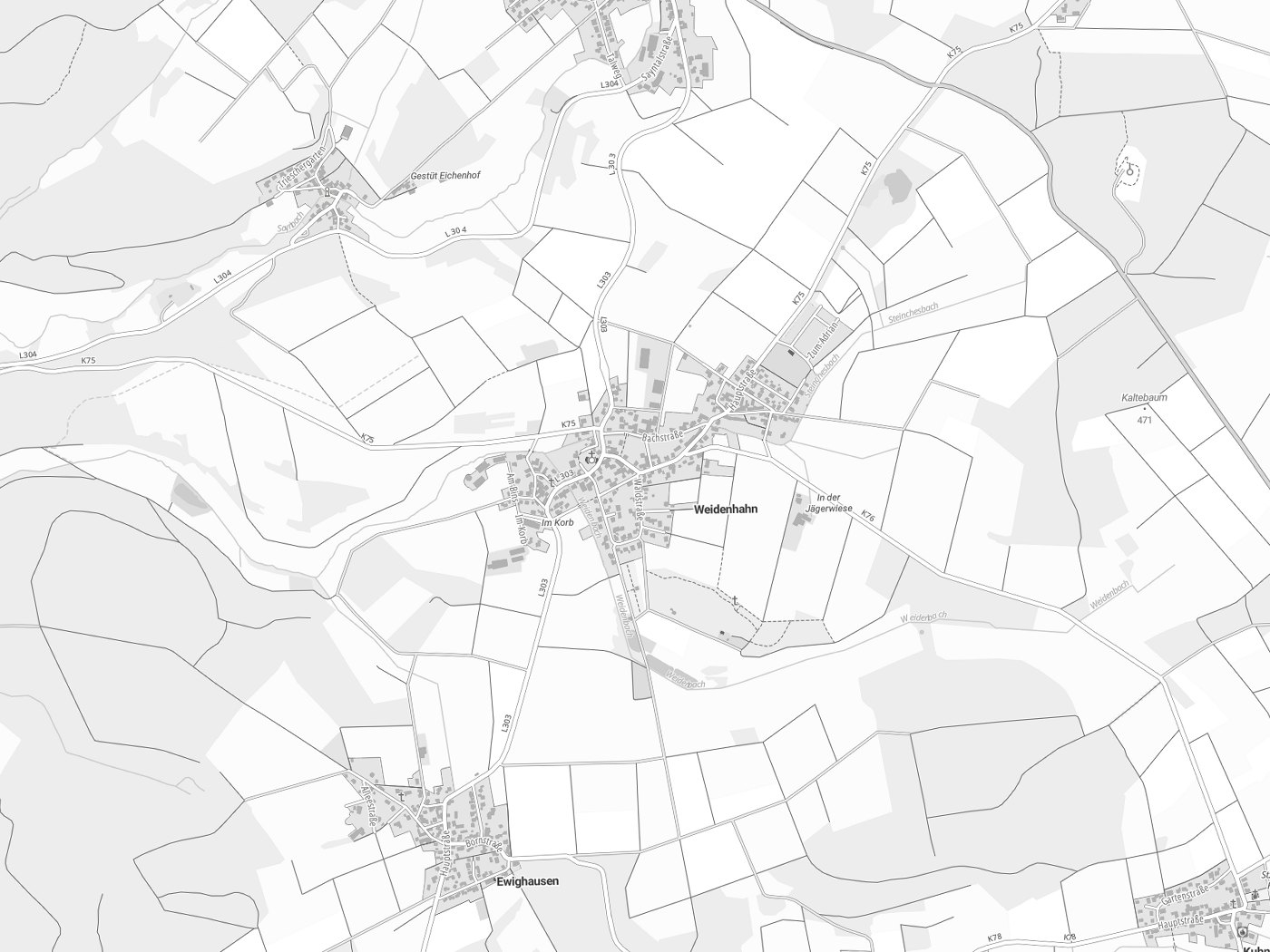 Kartenausschnitt Weidenhahn mit Gewässern